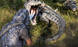 ǰ湥